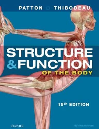 Structure function of the - &,