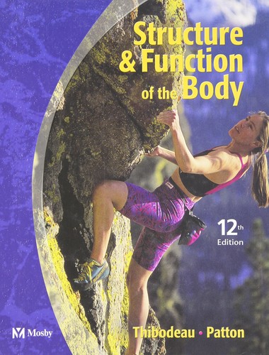Structure function of - function, the