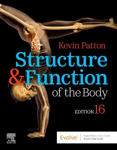 Structure and function the - function, of