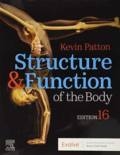 Structure function of the - function,