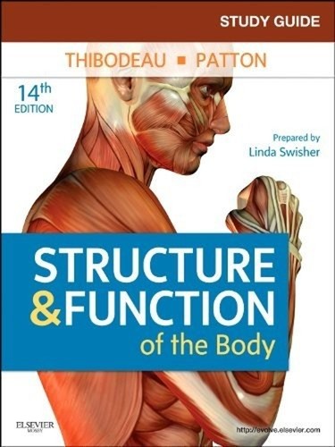 Study guide for - structure, and