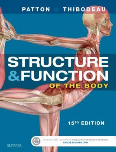 Structure and function - structure,