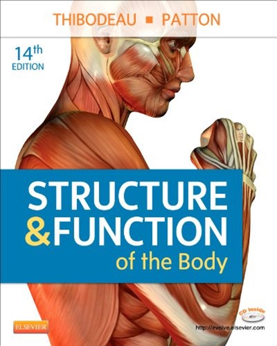 Structure and function the - function,