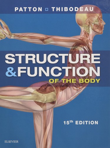 Structure function of the - structure, &
