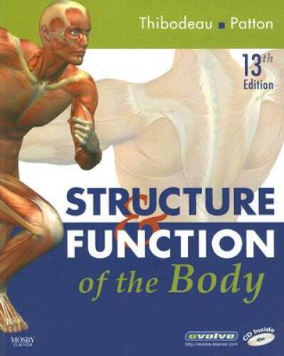 Structure function of the - structure,