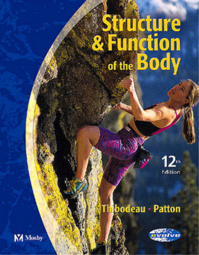 Structure and function the - function, of