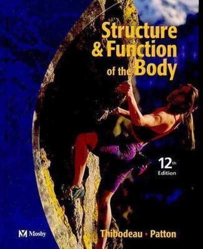 Structure and function the - of,