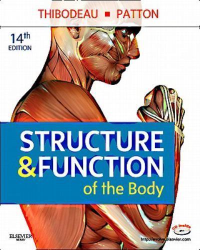 Structure and function the - structure,