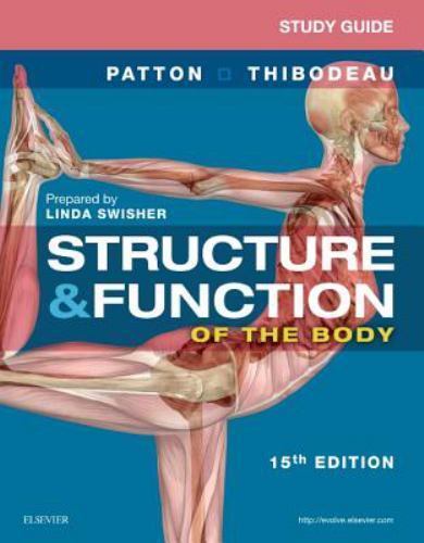Study guide for structure and - study,