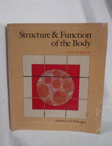 Structure and function the - and,
