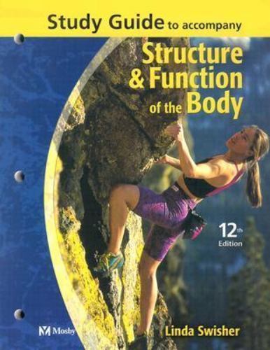 Structure and function the - structure,
