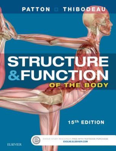 Structure and function the - structure,