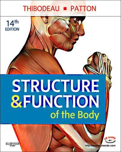 Structure and function the - structure,