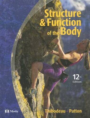 Structure function of - &, the