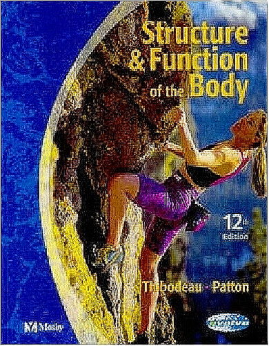 Structure function of the - structure,