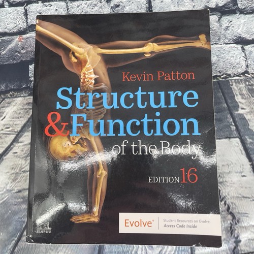 Structure function of the - of,