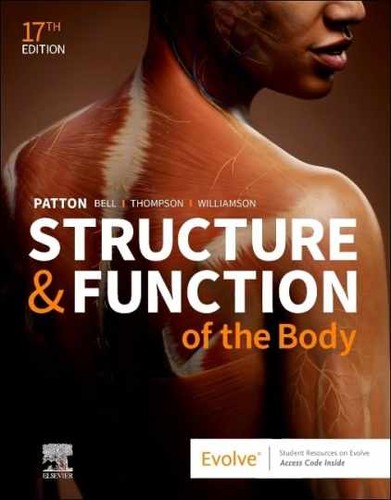 Structure function of the - structure,