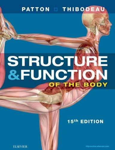Structure function of - function, the