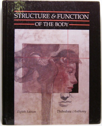 Structure function of the - &,