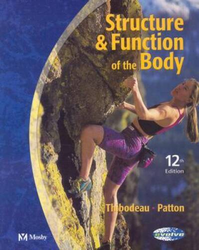 Structure function of the - &,