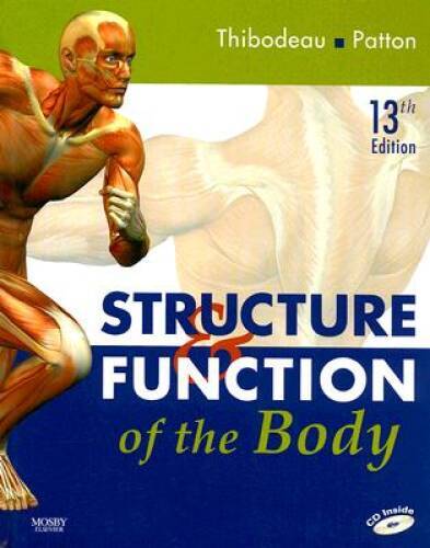 Structure function the - ,