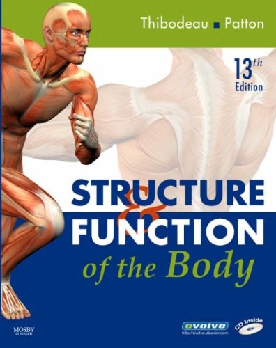 Structure function of the - structure,